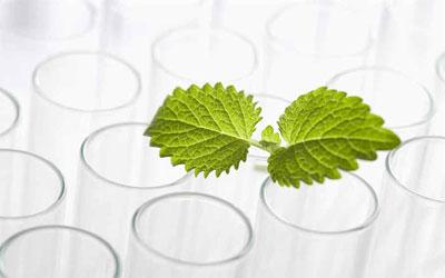 植物提取物应用广泛，潜力巨大，工业发展前景广阔